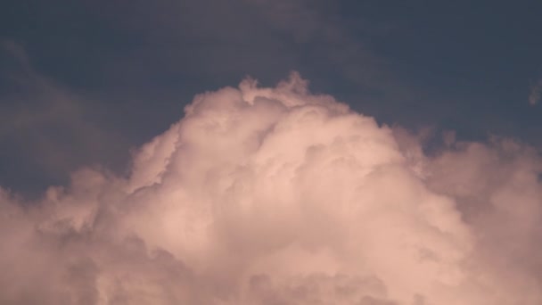 Grote cumulus wolken kolken snel in de lucht. mooie lucht boven de oceaan met roze wolken. Epische stormachtige tropische wolken bij zonsondergang. close-up. 4K UHD — Stockvideo