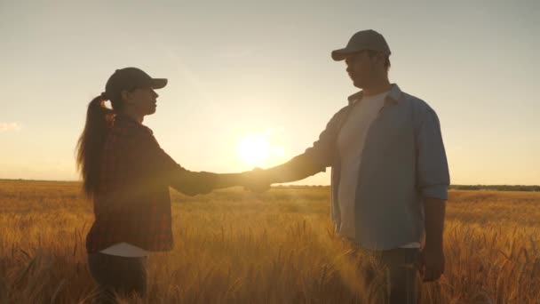 İki iş adamı, bir erkek ve bir kadın, sıkıca el sıkışıyorlar. Çiftçi ve tarım uzmanı buğday tarlasında güzel günbatımının arka planında konuşuyorlar, tablet kullanın. - Anlaştık. tarımsal iş kavramı — Stok video