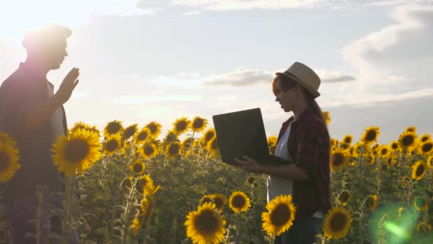 Businessman and agronomist are working in the field, assessing harvest of seeds, teamwork. farmer man and woman with laptop shake hands on a blooming sunflower field. agribusiness concept. — Stock Video