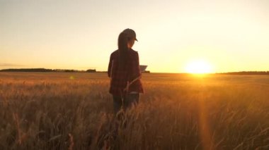 Buğday tarlasında tabletle çalışan çiftçi kadın. Tarlada buğday hasadını inceleyen tabletli bir tarım uzmanı. İş kadını tahıl hasadını analiz ediyor. tahıl hasatı tarımsal iş.