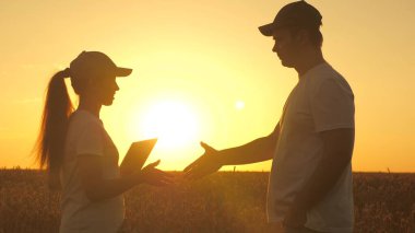 Çiftçi erkek ve kadın güneşin altındaki buğday tarlasında bir tabletle çalışıyorlar. Tarımcı ve işadamı silueti. Tabletle tarlada buğday hasadını inceliyor. İş adamları el sıkışıyor. tahıl hasat