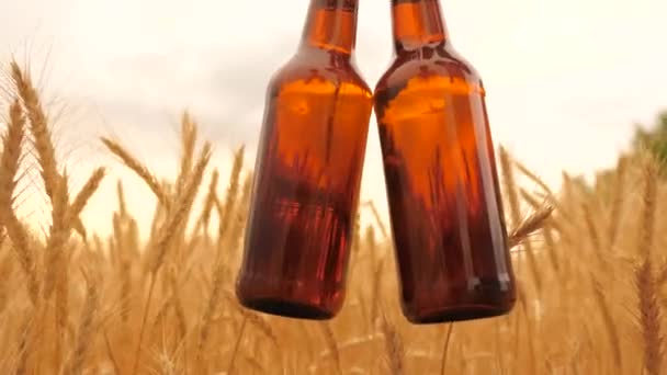 Pivovar nese čerstvé studené pivo přes pole zralé pšenice. Chutný, mírně alkoholický nápoj v mužské ruce. Muž se dvěma lahvemi piva prochází pšeničným polem. Pij.