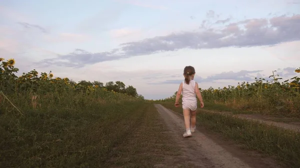 A happy child runs away from his parents along country road past sunflower field. Kid runs and looks back at his parents. Family plays in nature, in fresh air. Healthy little daughter runs and laughs.
