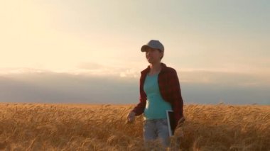 Gün batımında, buğday tarlasında tabletle çalışan çiftçi kadın. Gelirini planlayan bir iş kadını. Tabletli kadın tarım uzmanı tarlada buğday hasadı üzerinde çalışıyor. tarım kavramı.