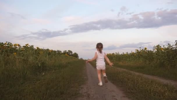 A happy child runs away from his parents along country road past sunflower field. Kid runs and looks back at his parents. Family plays in nature, in fresh air. Healthy little daughter runs and laughs. — ストック動画