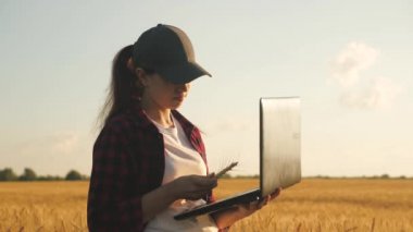 Elinde dizüstü bilgisayarı olan bir kadın işadamı buğday tarlasında çalışıyor, iletişim kuruyor ve hasatı kontrol ediyor. Kadın çiftçi gün batımında bilgisayarla. Tarımcı kız çalışıyor. Tarım sektörü kavramı.