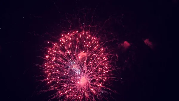 Colored night explosions in black sky. beautiful multi colored fireworks in night sky. New years eve fireworks celebration. shining fireworks with bokeh lights in night sky. glowing fireworks show. — Stock Photo, Image