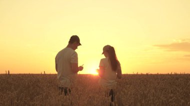 Çiftçi ve işadamı buğday tarlasında tabletle çalışıyorlar. Agronomist ve işadamı güneşin altında tabletle tarlada çalışıyorlar. Tarlada buğday hasadı. Organik tarım ve tarım sektörü kavramı.