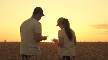 Çiftçi ve işadamı buğday tarlasında tabletle çalışıyorlar. Agronomist ve işadamı güneşin altında tabletle tarlada çalışıyorlar. Tarlada buğday hasadı. Organik tarım ve tarım sektörü kavramı.