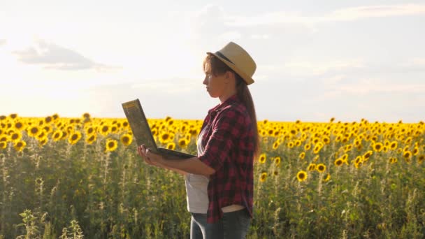 Farmářka pracující v terénu. agronomista na poli slunečnic s laptopem pracuje na slunci. obchodní žena s počítačem v rukou na slunečnicové plantáži. analýza plodin. — Stock video