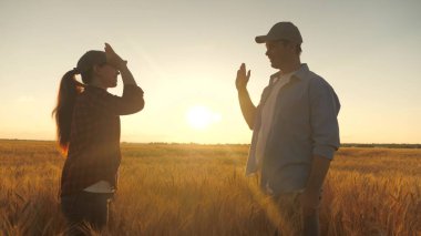 Bir çiftçi ve tarımcı güneşin altındaki buğday tarlasında hasata sevinir. İki iş adamı, bir çiftçi, bir erkek ve bir kadın, birbirlerini buğday tarlasında elleriyle selamlıyorlar. - Anlaştık. Tahıl hasadı.