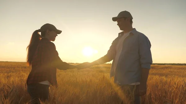 Bir çiftçi ve tarımcı güneşin altındaki buğday tarlasında hasata sevinir. İki iş adamı, bir çiftçi, bir erkek ve bir kadın, birbirlerini buğday tarlasında elleriyle selamlıyorlar. - Anlaştık. Tahıl hasadı.