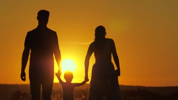 Familia feliz, hija pequeña está saltando, tomados de la mano de papá y mamá en el parque en el sol. El niño juega con papá y mamá en el campo a la luz del atardecer. Camina con un niño pequeño en la naturaleza. infancia — Vídeos de Stock