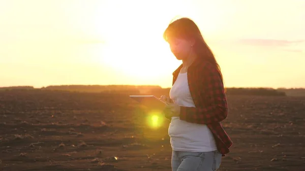 Lantbrukare kvinna med tablett i fält i solnedgångens strålar. Affärskvinna kontrollerar sin mark. En kvinnlig agronom kontrollerar kvaliteten på säden. Jordbrukaren kontrollerar markens kvalitet före sådd. — Stockfoto