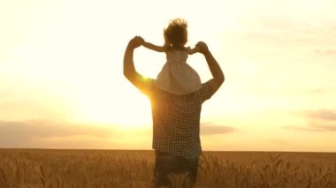 Mutlu çocuk ve baba buğday tarlasında oynuyorlar. Mutlu aile ve çocukluk kavramı. Ağır çekim. Babasının omuzlarında küçük bir kız. Bebek ve babası buğday tarlasında seyahat ediyor..