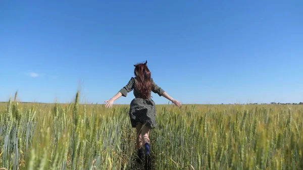 Uma menina feliz andando em câmera lenta através de um campo tocando com as orelhas de trigo mão. Mulher despreocupada bonita desfrutando da natureza e da luz solar no campo de trigo no incrível pôr do sol colorido — Fotografia de Stock