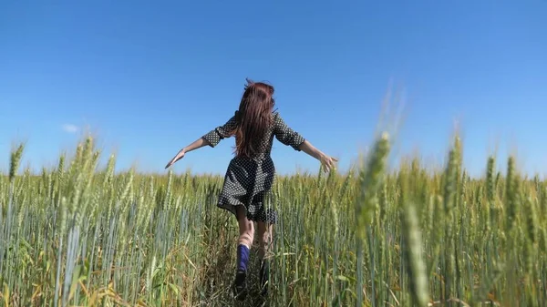 Uma menina feliz andando em câmera lenta através de um campo tocando com as orelhas de trigo mão. Mulher despreocupada bonita desfrutando da natureza e da luz solar no campo de trigo no incrível pôr do sol colorido — Fotografia de Stock