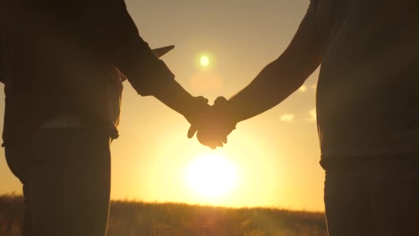 Zakenmensen schudden elkaar de hand in een graanveld in de zon. Zaken, teamwork. Een mannelijke boer steekt zijn hand uit naar een vrouwelijke boer. Handdruk, gezamenlijk werk van boeren. De sluiting van de overeenkomst, overeengekomen. — Stockvideo