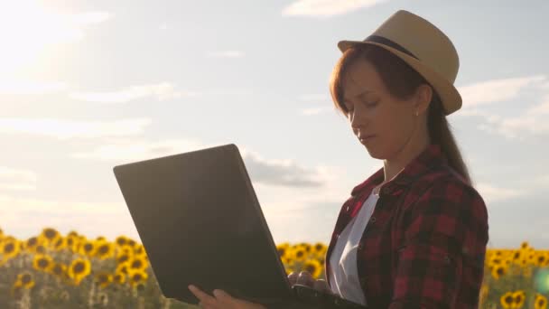 Zakenvrouw met een computer in haar handen op een zonnebloemplantage. Boerenvrouw die in het veld werkt. Agronomist in een veld van zonnebloemen met een laptop werkt in de zon. Analyse van gewassen. — Stockvideo