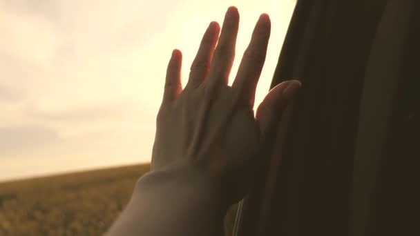 A menina senta-se no assento dianteiro do carro, estende-se para fora à janela e chama o brilho do pôr-do-sol. Conceito de viagem e aventura. Mulher livre viaja de carro captura sol e vento com a mão da janela do carro. — Vídeo de Stock