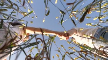 Birbirine aşık çiftler, el ele tutuşuyorlar, mavi gökyüzüne karşı buğday tarlasında birlikte yürüyorlar. Sevgili erkek ve kadın dışarıda el ele tutuşuyorlar. Mutlu aile hayatı. El ele yakın çekim. Tarladaki çiftçiler tahıl hasadını kontrol ediyor