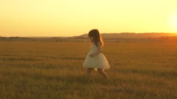 Criança feliz no campo ao pôr-do-sol recolhe flores. Pai A menina está brincando no prado ao sol. Corredeiras ao ar livre. Feliz conceito de família. Estilo de vida familiar. — Vídeo de Stock