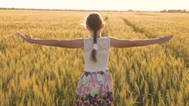 Özgür tasasız kız buğday tarlasında doğanın ve güneş ışığının tadını çıkarıyor. Mutlu çocukluk ve aile kavramı. Sağlıklı çocuk koşar ve tarlada ağır çekimde döner, elleriyle buğday kulaklarına dokunur..