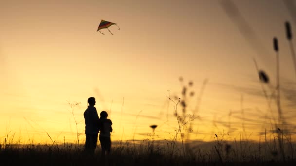 シルエット・パパは娘と遊び、日没時に公園で凧を発射する。空にカラフルな紙飛行機を起動する家族子供と父親は空中で凧を飛んで楽しんでいます. — ストック動画