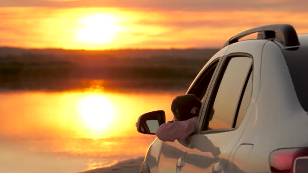 Flickföraren stannade vid campingen i sin bil och tittade på solnedgången. En fri kvinna resenären beundrar landskapet från bilfönstret, njuta av den vackra soluppgången över sjön. — Stockvideo