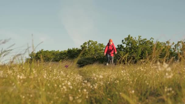 Mladá žena turistka jezdí na kole na poli a trávě těší přírodu a čerstvý vzduch. Dívka zdarma cestuje na kole v přírodě. Cestovní koncept. Cyklista trénuje venku. Ošklivý životní styl. Pedály, fitness — Stock video