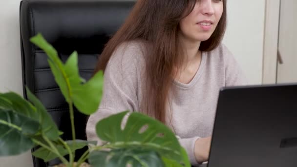 사업을 하는 여성이 노트북 키보드로 글자를 치고 있습니다. 컴퓨터로 일하는 사업가의 여성 손이죠. 집무실 책상에 앉아 인터넷으로 일하는 여성. 사무실에 있는 한 여자가 현대식 컴퓨터로 일하고 있다. — 비디오