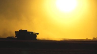 Büyük hasatçı gün batımında tahıl toplar. Tarım ürünleri hasat işi. Tarım işi. İki birleşimden oluşan siluet tarlalarda hareket eder ve olgunlaşmış buğday biçer. Çavdar tozu güneşte tarlanın üzerinde yükselir..