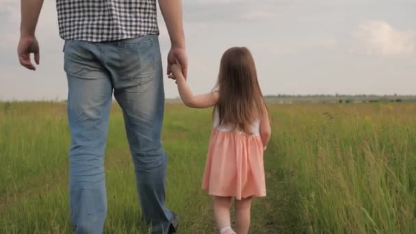 Pai de família feliz e filha pequena andar de mãos dadas no parque na grama verde. Papai e bebê estão felizes andando ao pôr-do-sol. O pai tem uma caminhada de fim de semana com a sua amada filha. Família, saúde e infância — Vídeo de Stock