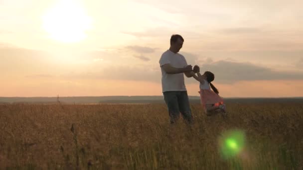 Pai, a criança está a brincar no campo na relva verde. Família feliz. A filhinha está brincando com o papai, papai está circulando criança por braços. A criança gosta de voar. Criança saudável ri em voo. Dia de folga familiar — Vídeo de Stock