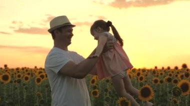 Mutlu aile, babalar ellerinde küçük mutlu bir kız çocuğu ayçiçeği tarlasında daireler çiziyor. Çiftçi babası güneşli bir ayçiçeği tarlasında bir çocukla oynuyor. Sağlıklı bir aile yazın açık havada seyahat eder..