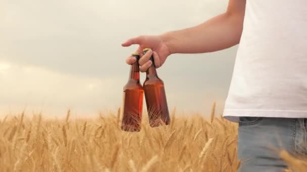 Смачний слабоалкогольний пивний напій у руці чоловіка. Фермерський пивовар переносить свіже холодне пиво через поле стиглої пшениці. Чоловік з двома пляшками пива проходить через пшеничне поле. Екологічний напій . — стокове відео