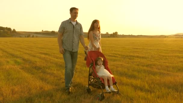 Spacer z małym dzieckiem w wózku w przyrodzie. szczęśliwa rodzina spaceruje z małą córeczką po łące o zachodzie słońca. Mała córeczka jeździ w wózku w parku na tle słońca. koncepcja dzieciństwa — Wideo stockowe