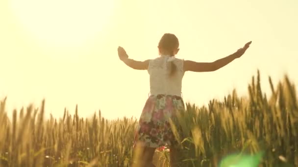 Boldog gyermek lassított felvételen fut és forog a mezőn, megérintve a búza fülét a kezével. Ingyenes gondtalan lány élvezi a természet és a napfény a búzamezőn. Boldog gyermekkort és családi koncepciót. — Stock videók