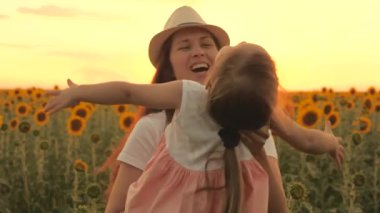 Mutlu aile, anne kollarında dönüyor küçük mutlu kız ayçiçeği tarlasında. Bir çiftçi anne çocuğuyla güneşte ayçiçeği tarlasında oynar. Sağlıklı bir aile yazın açık havada seyahat eder..