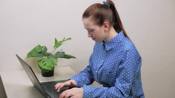 La donna freelancer in ufficio lavora su computer moderno. Donna d'affari digitando testo sulla tastiera del computer portatile. Mani femminili di donna d'affari che lavora al computer. Donna seduta alla scrivania di casa, che lavora online — Video Stock