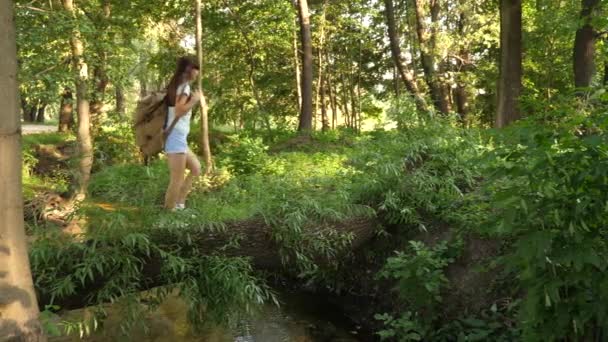 Młoda kobieta przechadza się po upadłym drzewie przez rzekę. Wolna dziewczyna turysta przecina rzekę na moście z kłód. Wędrówki po lesie z plecakiem, wędrówki. Zdrowy styl życia, przygoda. — Wideo stockowe