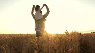Mutlu kız, çocuk, baba olgunlaşan buğday tarlasında oynuyorlar. Mutlu aile ve tasasız çocukluk. Baba omuzlarında küçük bir çocuk. Bebek ve babası sahada seyahat ediyor. Çocuk ve ebeveyn oyunu