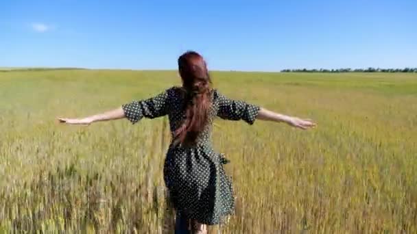 Uma jovem corre alegremente pelo campo, tocando espigas de trigo com as mãos. Mulher despreocupada bonita goza de natureza e luz solar em um campo de trigo, sonhos de voar como um avião, levanta as mãos — Vídeo de Stock