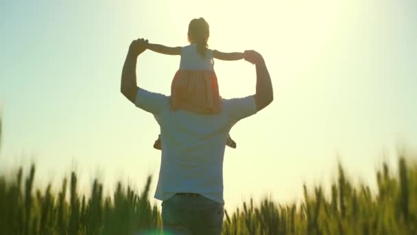 Malá dcera na ramenou farmářského otce. Šťastná rodina na dovolené. Dítě a táta cestují na pšeničném poli. Dítě a rodiče si hrají v přírodě. Šťastnou rodinu a dětství. Zpomalený pohyb — Stock video
