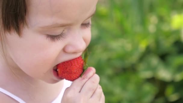 Niña, el niño come fresas rojas en el verano al aire libre. El niño come fresas frescas, jugosas y rojas en el jardín en primavera. Vitaminas naturales para niños. Niño en una plantación de fresas — Vídeos de Stock