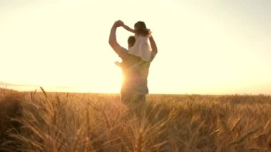 Little daughter plays on shoulders of farmers father in wheat field. Happy child and father are playing together in open air. Kid and daddy are traveling. Baby, parent in nature. Family, childhood
