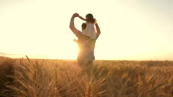Little daughter plays on shoulders of farmers father in wheat field. Happy child and father are playing together in open air. Kid and daddy are traveling. Baby, parent in nature. Family, childhood — Vídeos de Stock