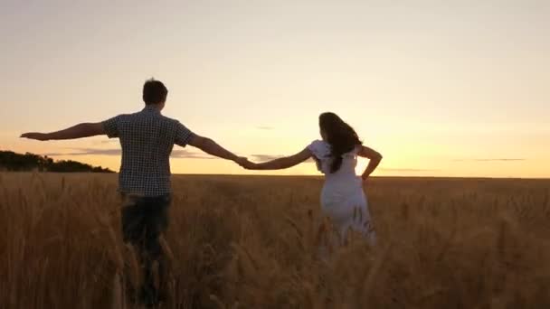 Šťastný manželský pár, který se drží za ruce v pšeničném poli. team concept business koncept svoboda cestování vítězství štěstí týmová práce. Šťastná rodina. Milující pár při západu slunce v parku. Rodinná týmová práce — Stock video