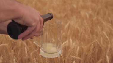 Adam buğday tarlasının önünde tuttuğu şişeden bardağa ışık, filtrelenmiş bira döker. Brewer buğday kulaklarının önündeki cam bardağa köpükle taze bira doldurur. Hafif alkollü, lezzetli bir içecek.