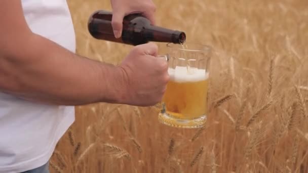 Homem derrama luz, cerveja filtrada de garrafa em vidro que ele está segurando na frente do campo de trigo. Cerveja derrama cerveja fresca com espuma em caneca de vidro na frente de orelhas de trigo. Bebida saborosa fracamente alcoólica — Vídeo de Stock